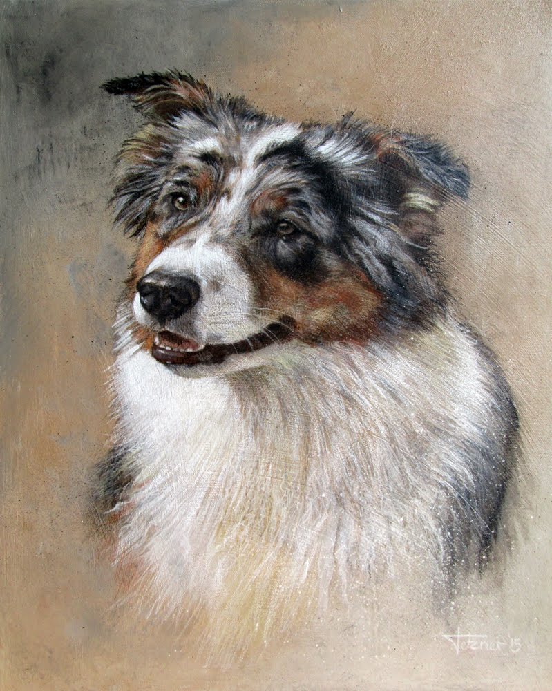 799x1000 Speed Painting Australian Shepherd - Australian Shepherd Painting