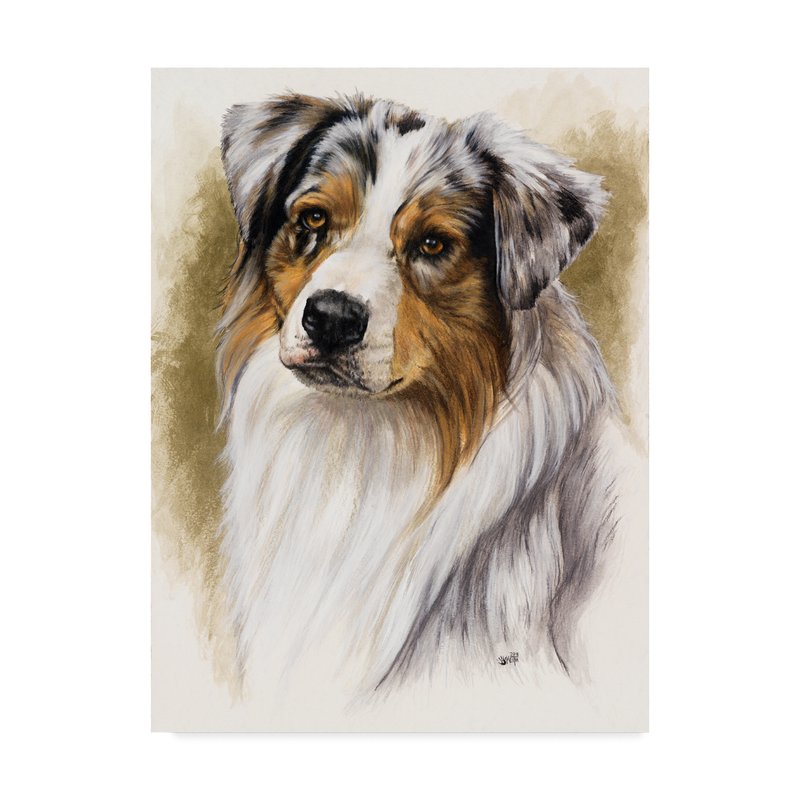 800x800 Trademark Art - Australian Shepherd Painting