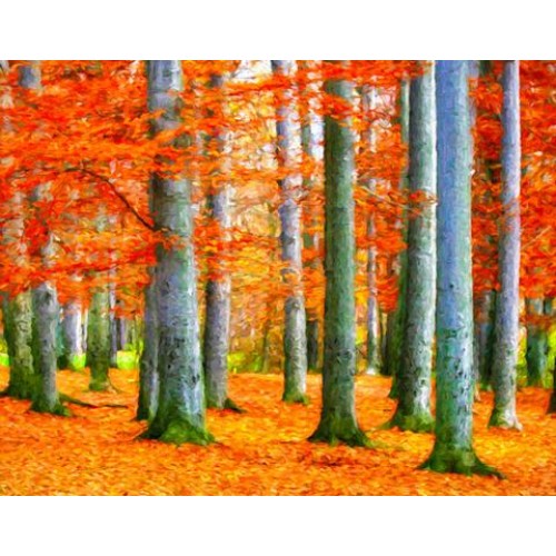 500x500 Autumn Forest Sketch For Canvas Painting - Autumn Forest Painting