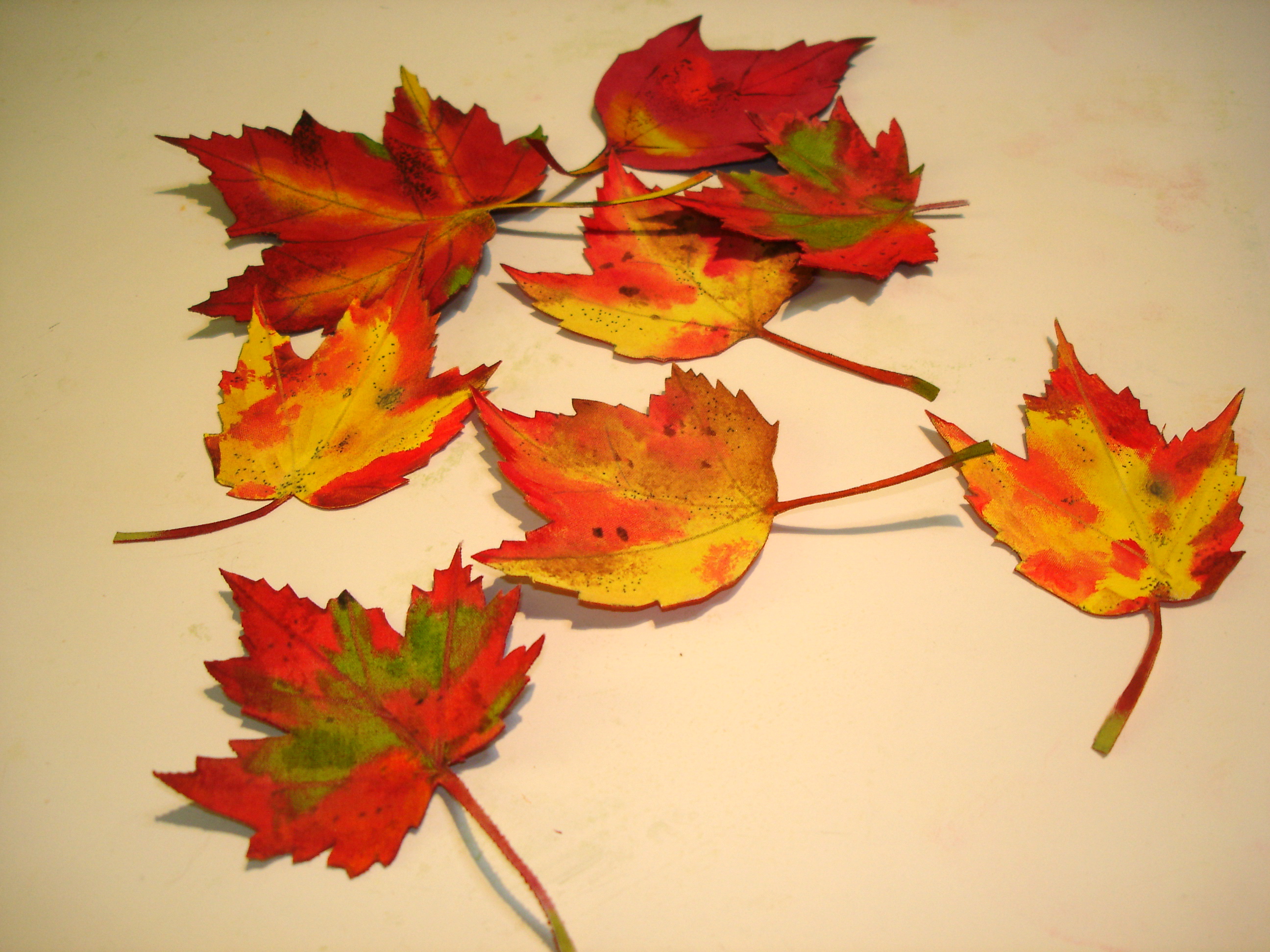 2592x1944 Autumn Leaves Janebalshaw Creative Studios - Autumn Leaves Painting