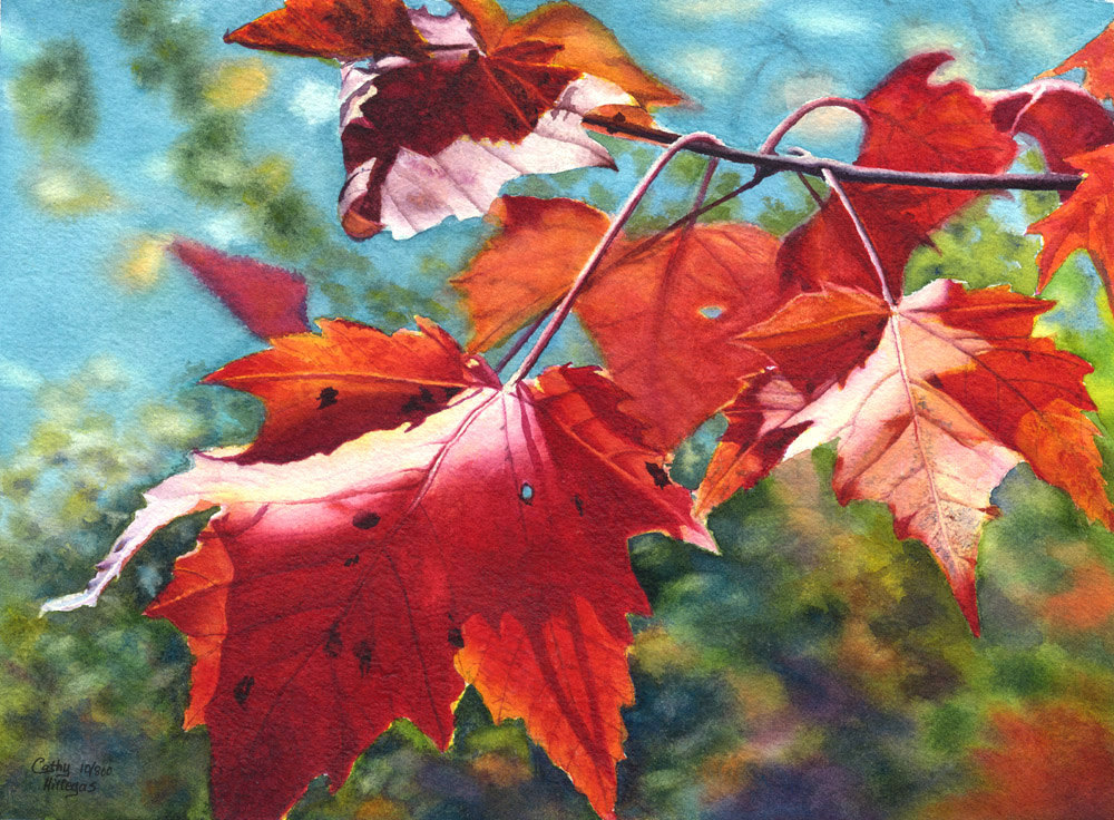 1000x736 Autumn Leaves Art Watercolor Painting Print By Cathy Hillegas - Autumn Leaves Painting