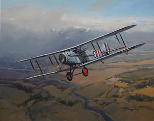 300x236 Bristol F.2b Fighter 2 Squadron Aviation Painting Art Print Darryl - Aviation Painting