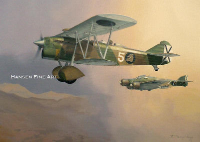 400x285 Fiat Cr.32 Italian Plane Limited Edition Aviation Painting Art - Aviation Painting