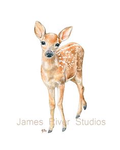 236x295 Deer Watercolor Print Woodland Animal Painting - Baby Animal Painting