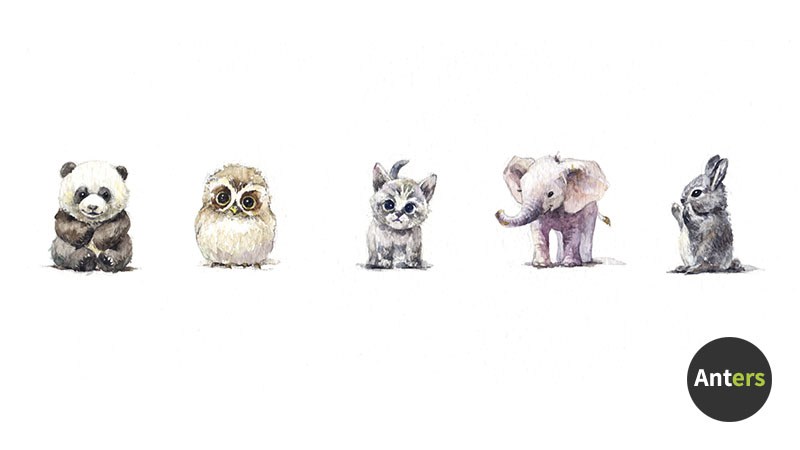 800x450 Painting Baby Animals With Watercolor 2 - Baby Animal Painting