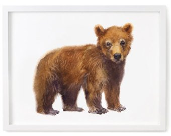 340x270 Bear Watercolor Etsy - Baby Bear Painting