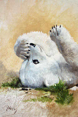 250x374 Dan Lacey, The Painter Of Pancakes Knut The Baby German Polar - Baby Bear Painting
