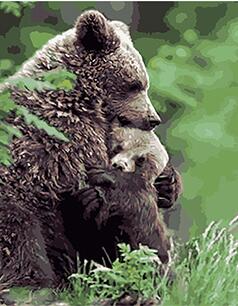 238x306 Mahuaf W005 Wildlife Baby Bear Painting By Numbers Art Canvas - Baby Bear Painting