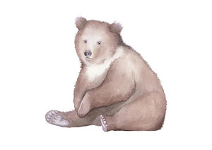 300x212 Baby Bear Paintings Fine Art America - Baby Bear Painting