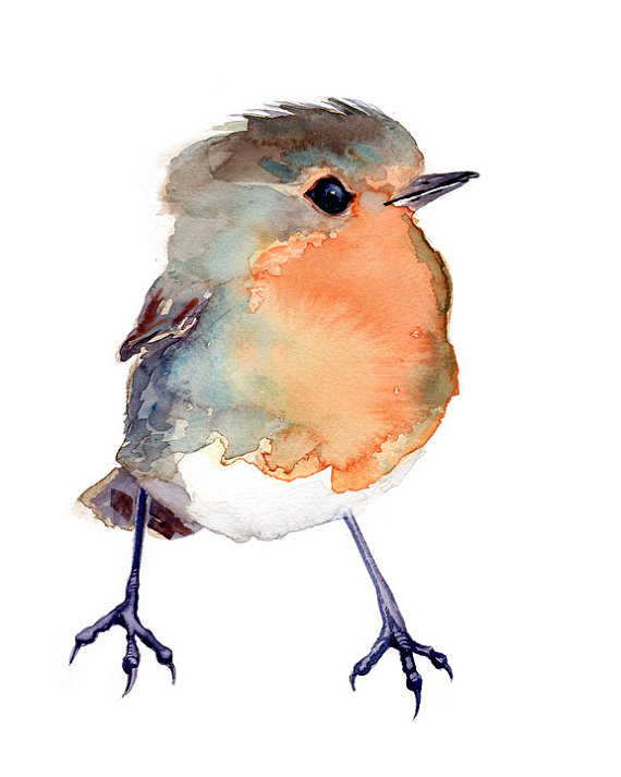 570x713 Baby Robin Baby Shower Gift Bird Painting Red Robin Giclee - Baby Bird Painting