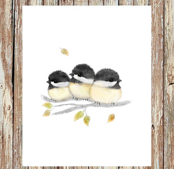 570x555 Bird Painting, Chickadees, Chickadee Painting, Baby Bird, Baby - Baby Bird Painting