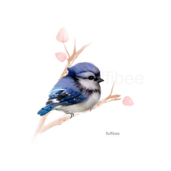 570x570 Blue Jay Painting, Baby Bird Print, Baby Bluejay, Bird Painting - Baby Bird Painting