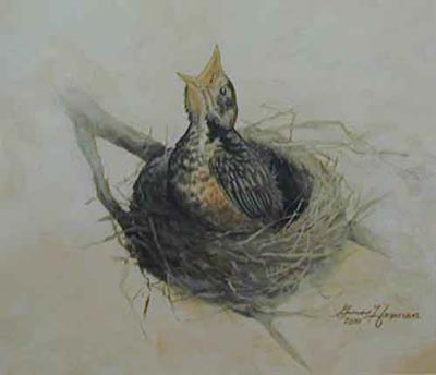 400x344 Robin Painting - Baby Bird Painting