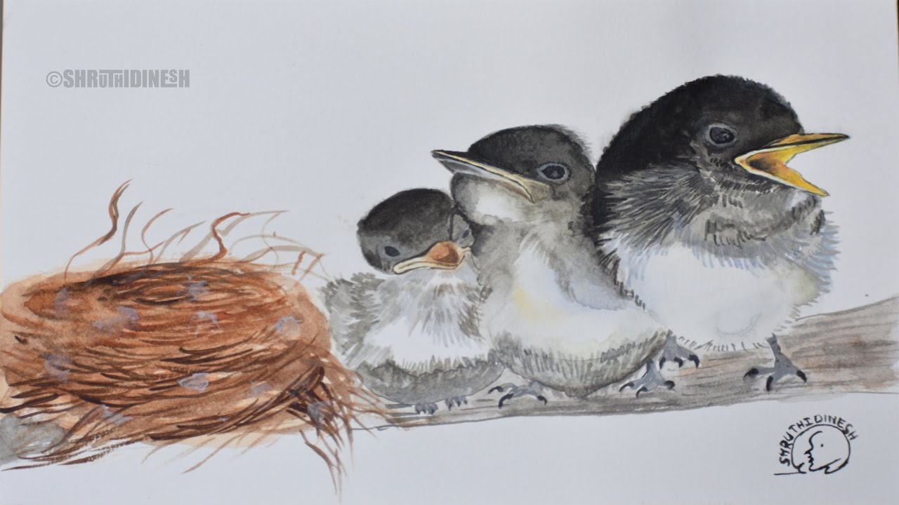 1280x720 Water Painting - Baby Bird Painting