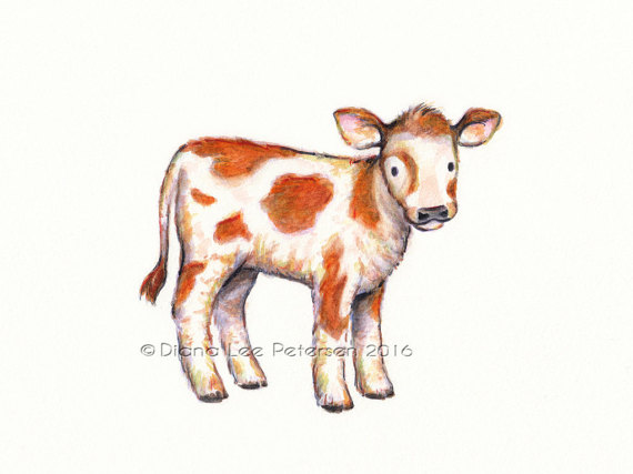 570x427 Calf Print Cow Art Cow Painting Baby Cow Artwork Decor Nursery - Baby Cow Painting