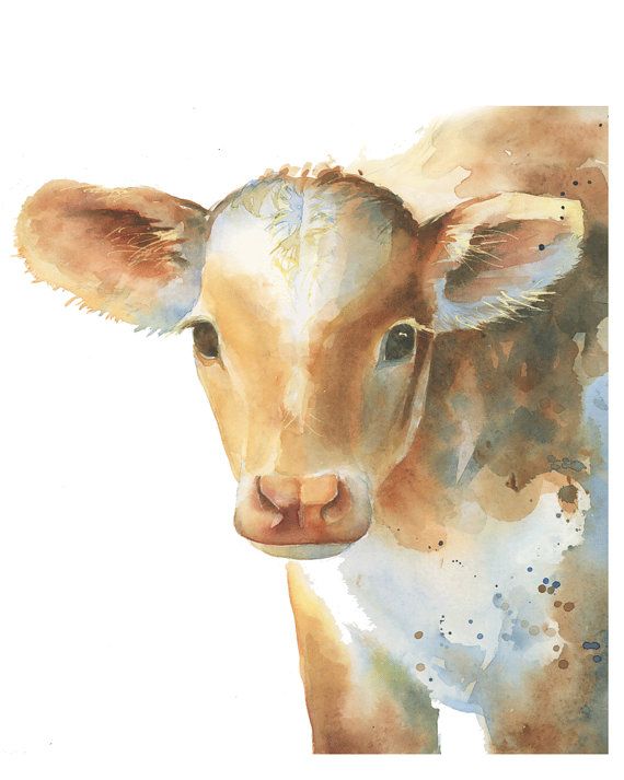 570x713 Farm Animal Nursery Print Of A Little Baby Cow, Makes A Great Gift - Baby Cow Painting