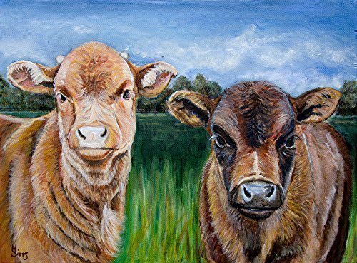 500x369 Original Baby Cow Painting, Calves Western Rustic - Baby Cow Painting