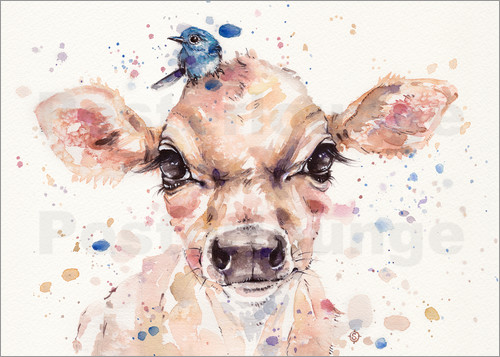 500x357 Sillier Than Sally Little Calf (Baby Cow) Poster Posterlounge - Baby Cow Painting