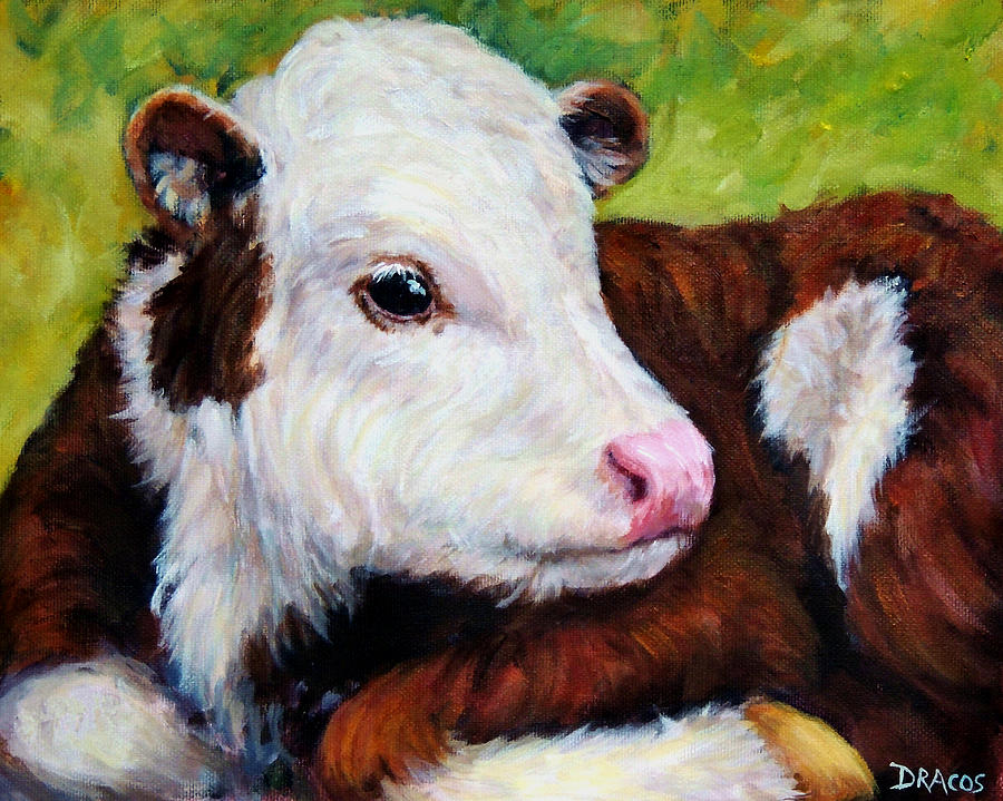 900x719 Sweet Baby Cow Painting By Dottie Dracos - Baby Cow Painting