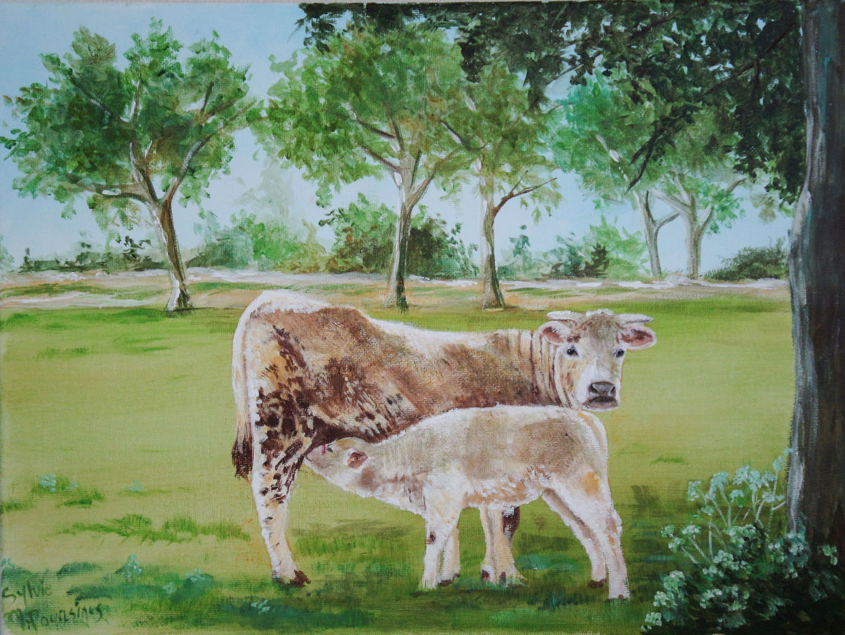 1200x902 Jeune Vache Allaitant Son Veau (Sylvie Mailhe Poursines) - Baby Cow Painting