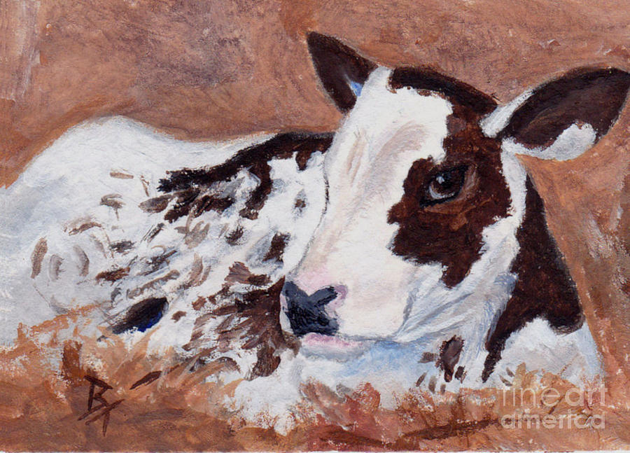 900x647 Baby Cow Aceo Painting By Brenda Thour - Baby Cow Painting