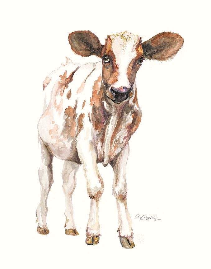 678x864 Baby Cow Painting Baby Cow Fine Art Cow Watercolor By Crisloganart - Baby Cow Painting