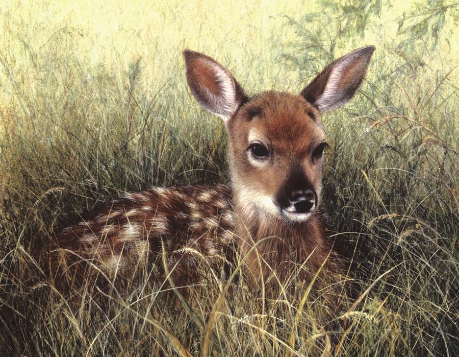 900x699 Fawn Painting By Janet Landrum - Baby Deer Painting