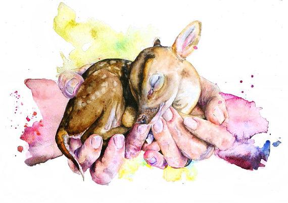 570x402 Magnum Baby Deer Watercolor Canvas Painting Octotreasure - Baby Deer Painting