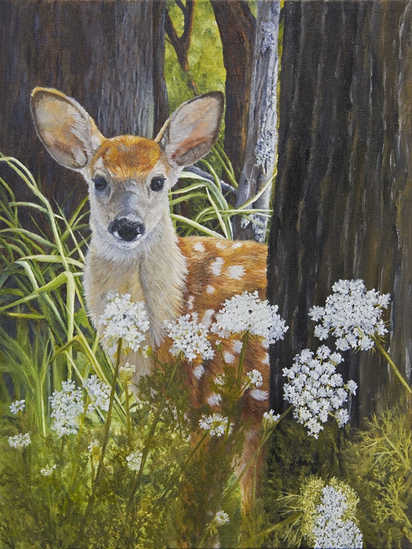 600x800 White Tail Deer Painting Baby Deer Painting Watching You - Baby Deer Painting