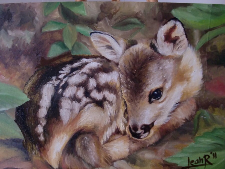 900x675 Baby Deer By Cuzzycutegirl - Baby Deer Painting
