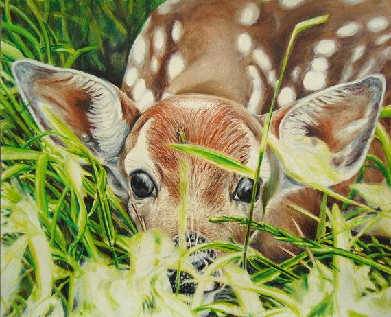 570x462 Baby Deer Art Nature Artwork Original Art Deer Drawing - Baby Deer Painting