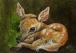 250x176 Baby Deer Paintings - Baby Deer Painting