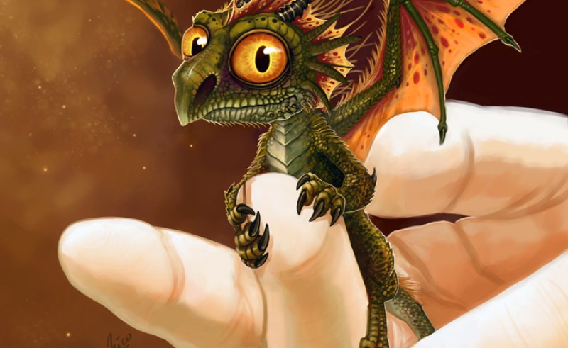 800x491 Baby Dragon By Amisgaudi On Painting For Home - Baby Dragon Painting