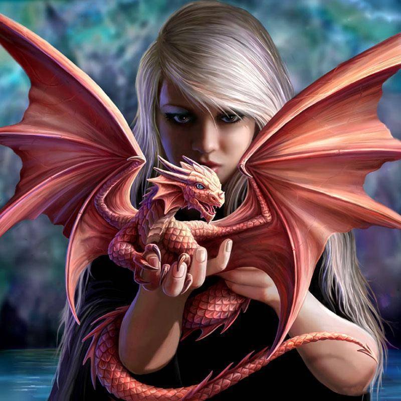 800x800 Baby Dragon And Girl - Baby Dragon Painting