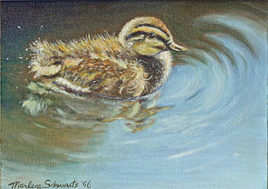 300x212 Baby Duck Paintings - Baby Duck Painting