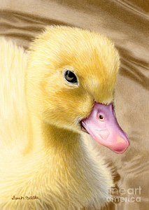 213x300 Yellow Baby Duck Paintings Fine Art America - Baby Duck Painting