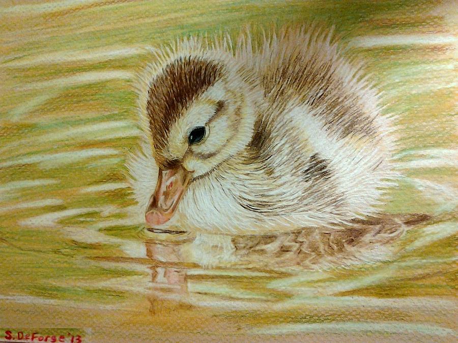900x675 Baby Duck On Pond Painting By Paint Intoacorner - Baby Duck Painting