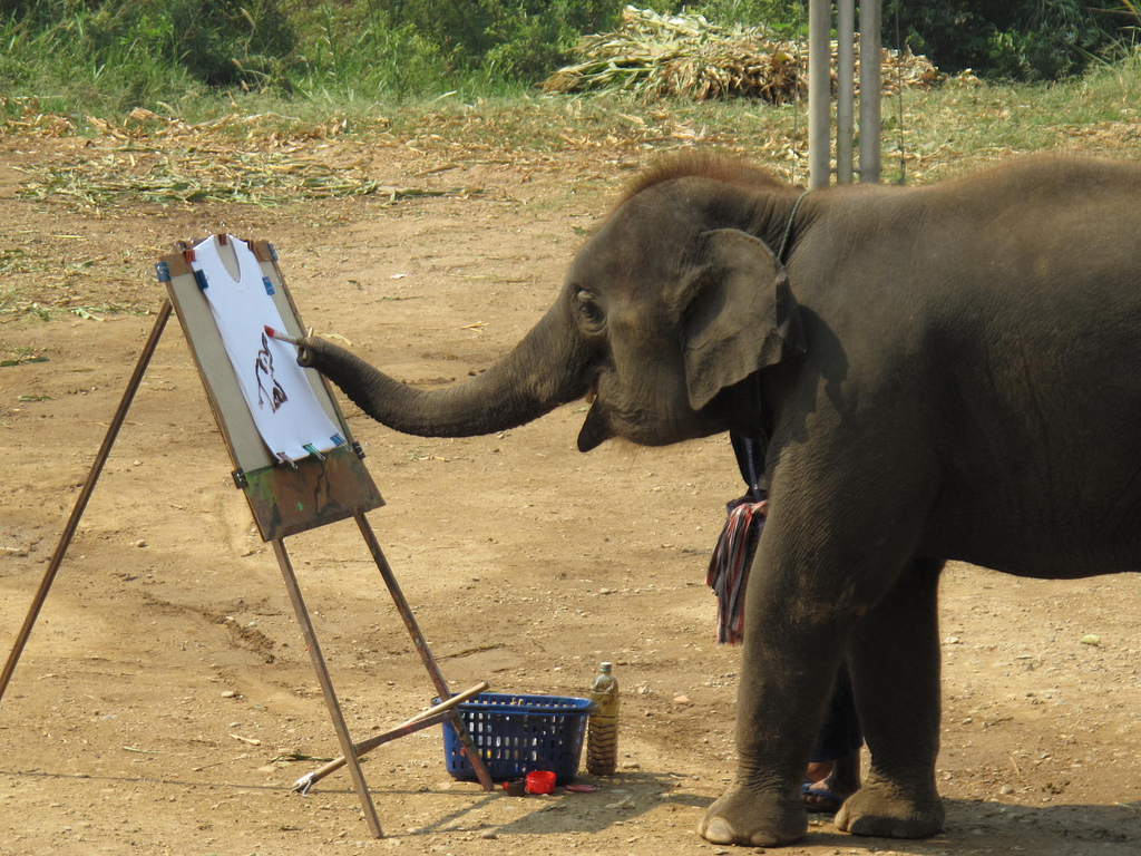 1024x768 Elephants Encounters - Baby Elephant Painting