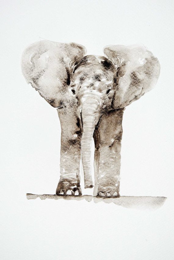 570x848 Pin By Brooke Juliana Bowden On My Style House - Baby Elephant Painting