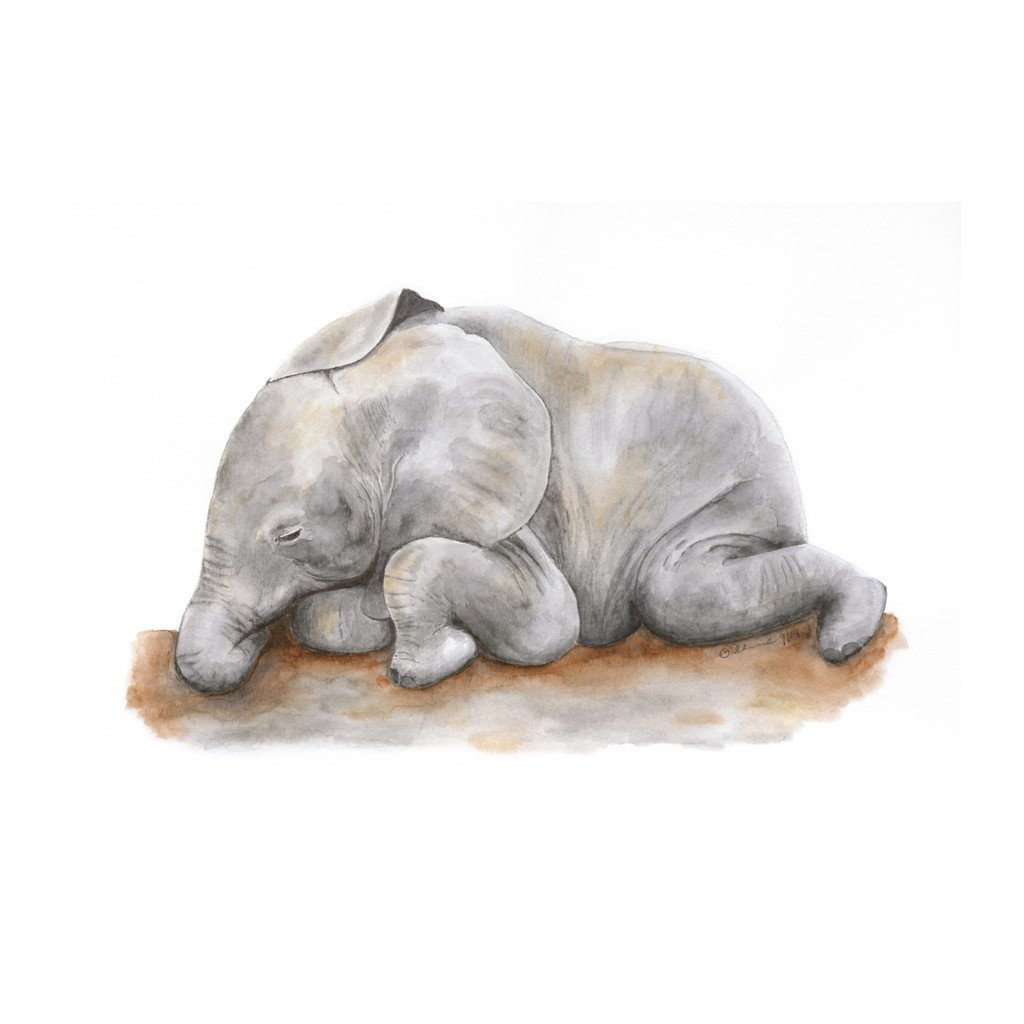 1024x1024 Sleeping Baby Elephant Nursery Art Tiny Toes Design - Baby Elephant Painting