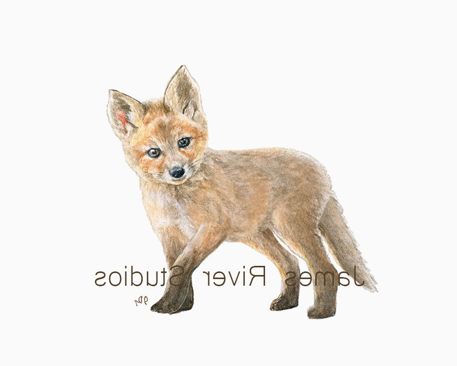 900x720 Woodland Creatures Baby Bedding Alive Fox Art Fox Painting Fox - Baby Fox Painting