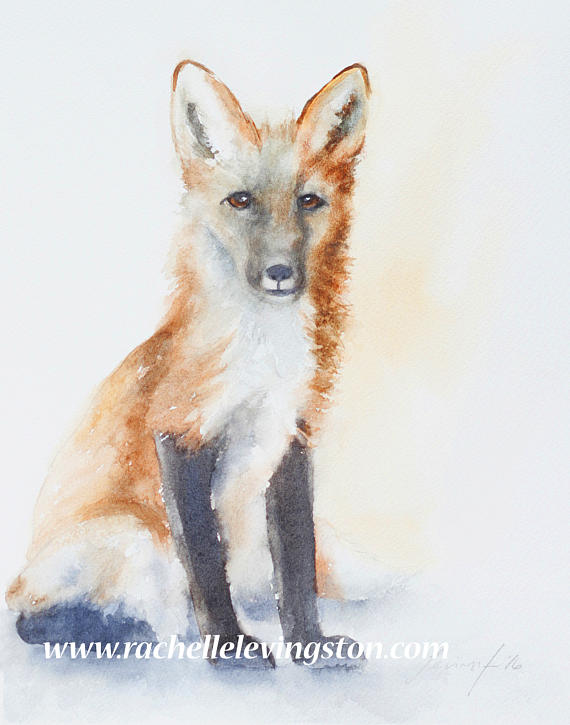 570x725 Baby Fox Painting Of Fox Art Print Of Fox Print Fox Kit - Baby Fox Painting