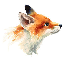 300x231 Baby Fox Paintings - Baby Fox Painting