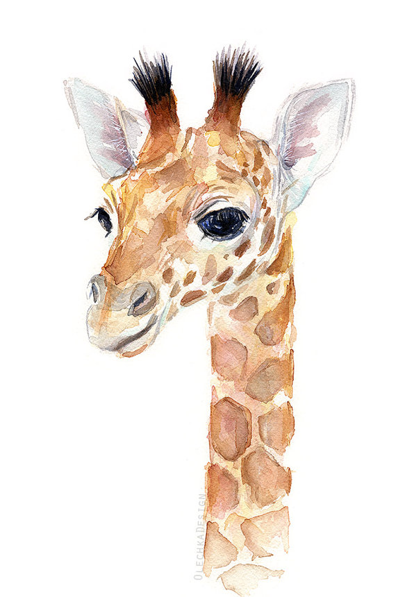 570x860 Giraffe Baby Animal Watercolor, Art Print, Nursery Decor, Giraffe - Baby Giraffe Painting