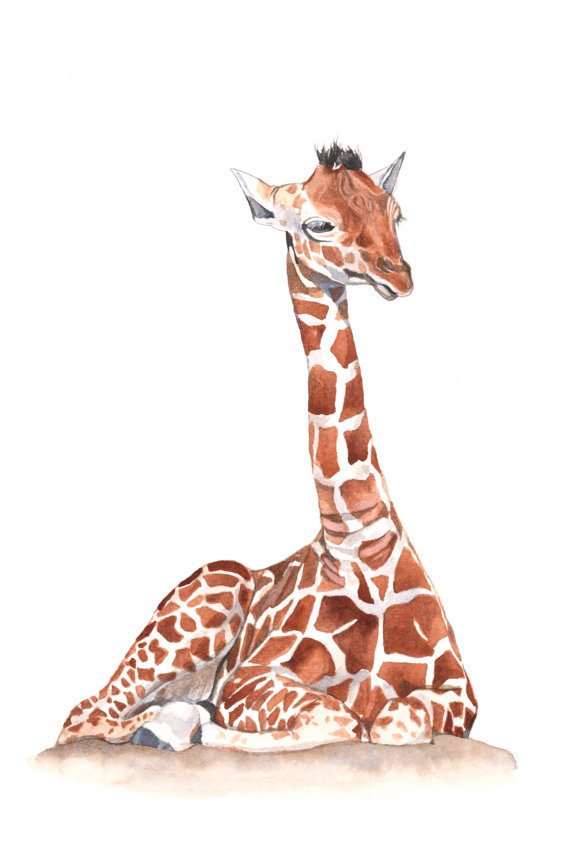 570x850 Giraffe Watercolor Painting Baby Giraffe Watercolor Print - Baby Giraffe Painting