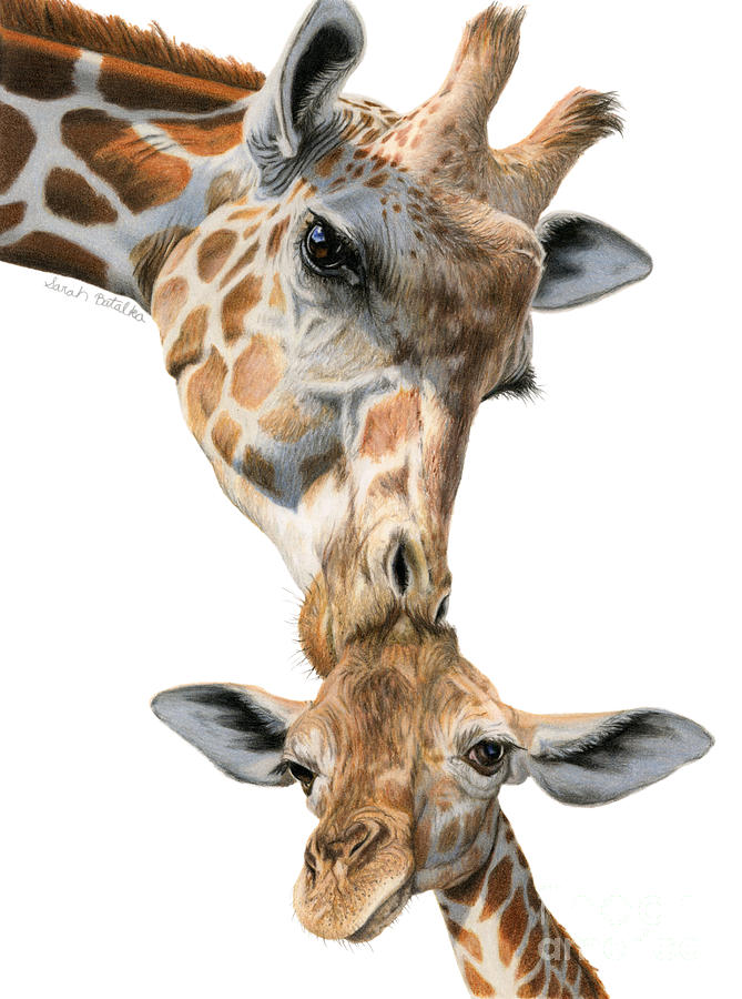 669x900 Mother And Baby Giraffe Painting By Sarah Batalka - Baby Giraffe Painting