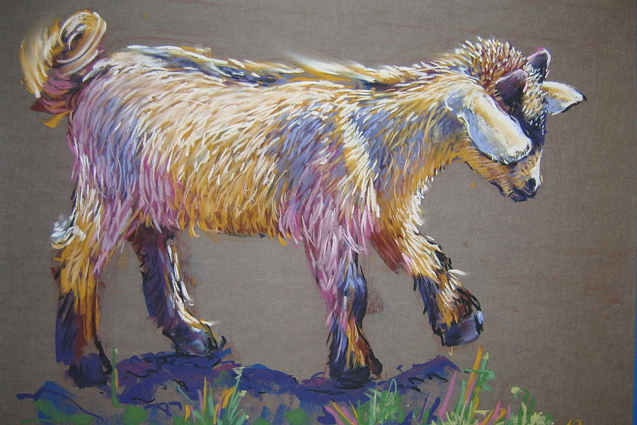 900x600 Baby Goat Pastel By Barbara Richert - Baby Goat Painting