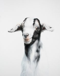 236x299 Goat Watercolor Baby Goats, Vivid Colors And Goats - Baby Goat Painting