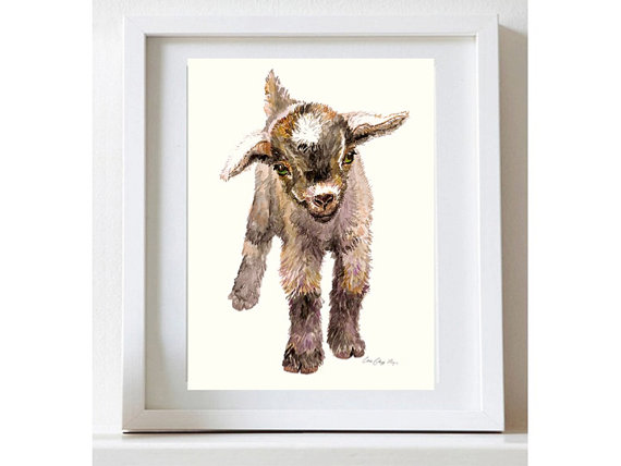 570x428 Items Similar To Baby Goat Original Watercolor Painting Nursery - Baby Goat Painting