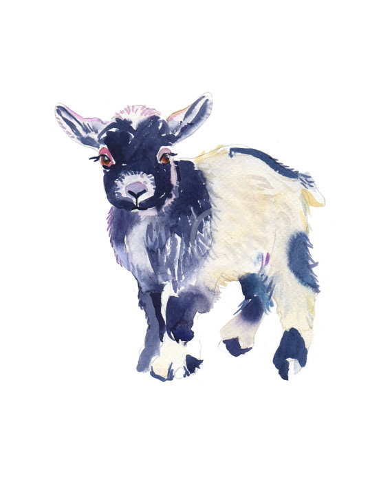 570x713 Kid Baby Goat Watercolor Painting Nursery Art Animal Art - Baby Goat Painting
